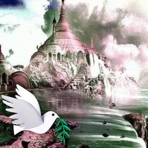 Meet your Posher, Roberto